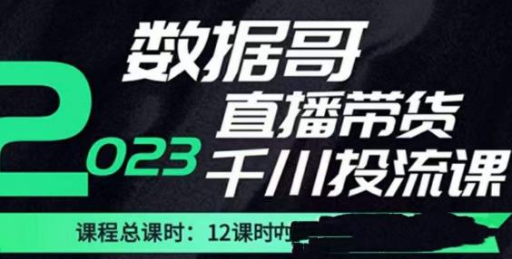 数据哥2023直播电商巨量千川付费投流实操课，快速掌握直播带货运营投放策略-私藏资源社