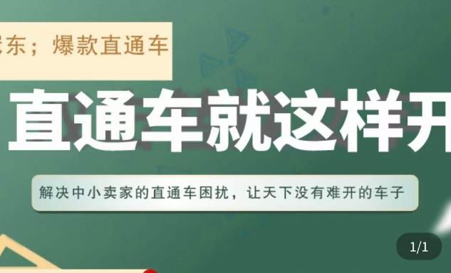 冠东·淘系直通车保姆级教程，全面讲解直通车就那么简单-私藏资源社