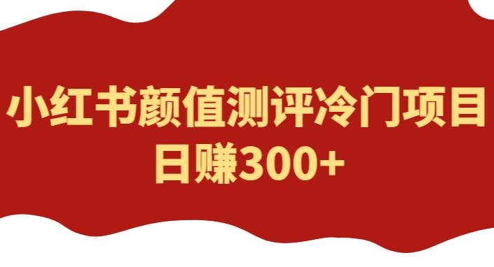 外面1980的项目，小红书颜值测评冷门项目，日赚300+【揭秘】-私藏资源社