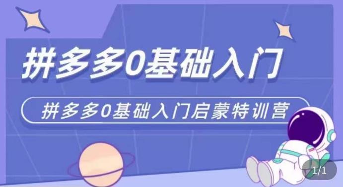 拼多多运营0-1实操特训营，拼多多0基础入门，从基础到进阶的可实操玩法-私藏资源社