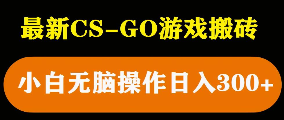 最新csgo游戏搬砖游戏，无需挂机小白无脑也能日入300+-私藏资源社