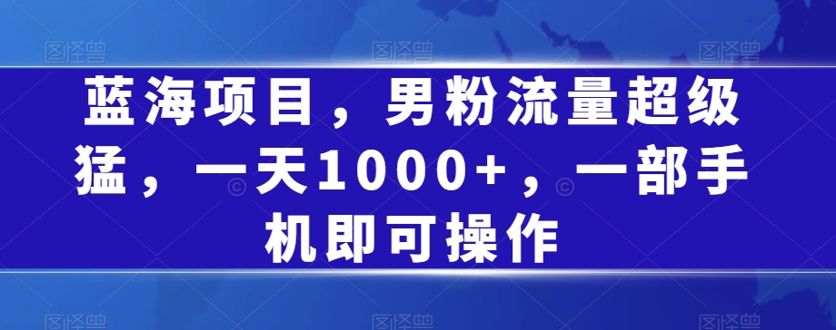 蓝海项目，男粉流量超级猛，一天1000+，一部手机即可操作【揭秘】-私藏资源社