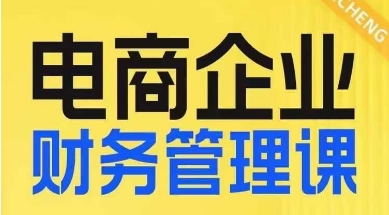 电商企业财务管理线上课，为电商企业规划财税-私藏资源社