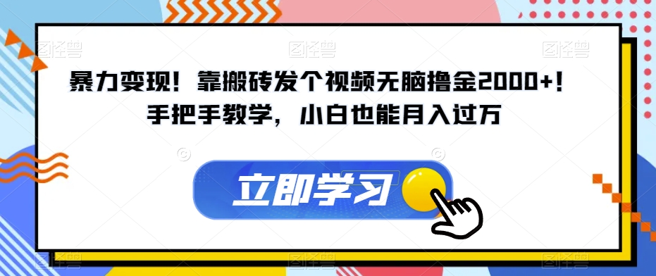 暴力变现！靠搬砖发个视频无脑撸金2000+！手把手教学，小白也能月入过万【揭秘】-私藏资源社