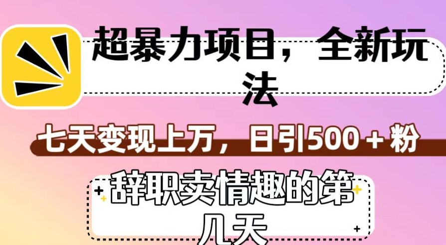 超暴利项目，全新玩法（辞职卖情趣的第几天），七天变现上万，日引500+粉【揭秘】-私藏资源社