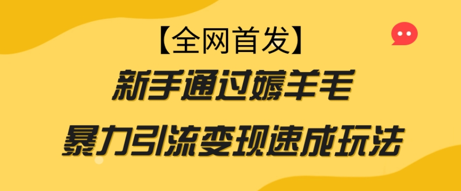 【全网首发】新手通过薅羊毛暴力引流变现速成玩法-私藏资源社