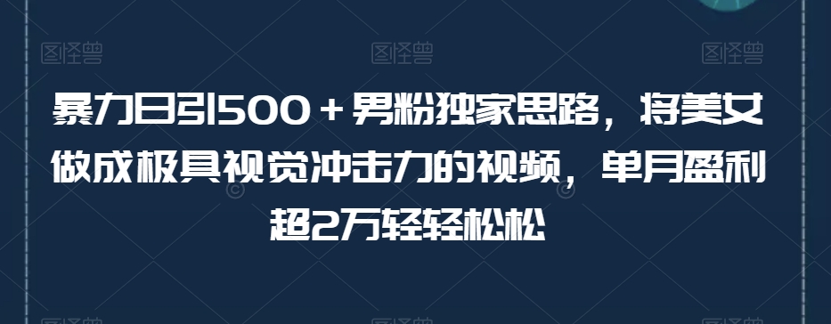 暴力日引500＋男粉独家思路，将美女做成极具视觉冲击力的视频，单月盈利超2万轻轻松松-私藏资源社