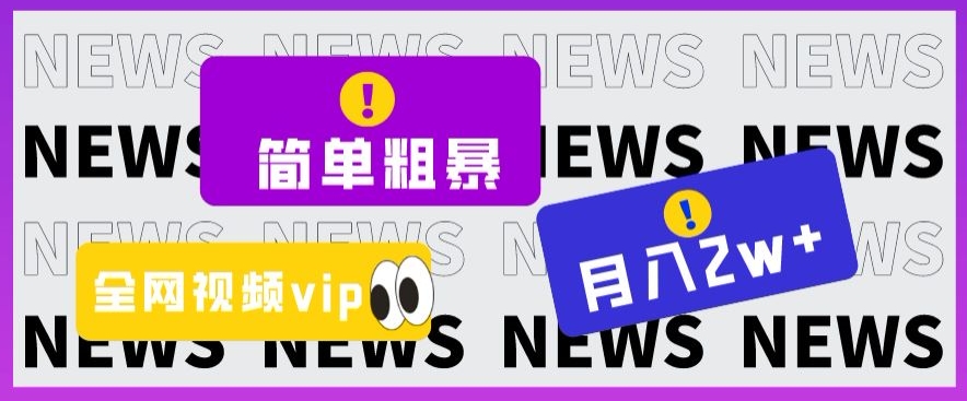 简单粗暴零成本，高回报，全网视频VIP掘金项目，月入2万＋【揭秘】-私藏资源社