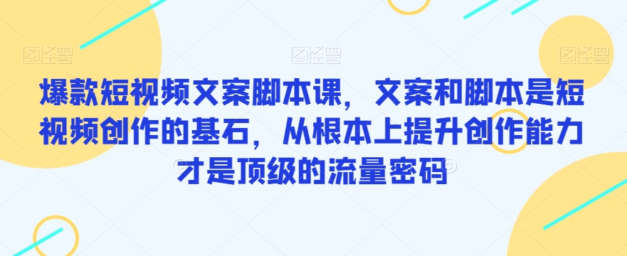 爆款短视频文案脚本课，文案和脚本是短视频创作的基石，从根本上提升创作能力才是顶级的流量密码-私藏资源社