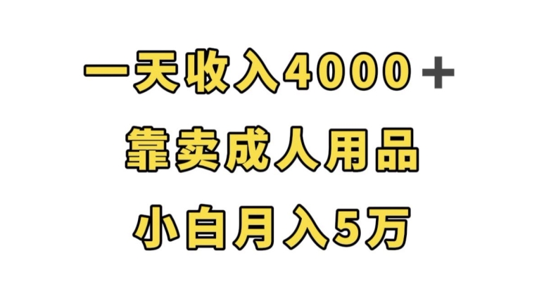 一天收入4000+，靠卖成人用品，小白轻松月入5万【揭秘】-私藏资源社