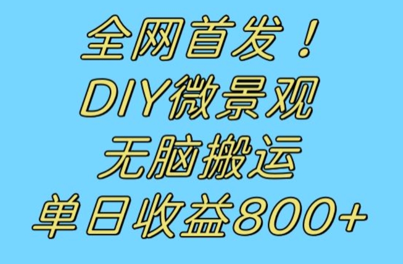 全网首发冷门赛道！DIY微景观，无脑搬运视频，日收益800+【揭秘】-私藏资源社