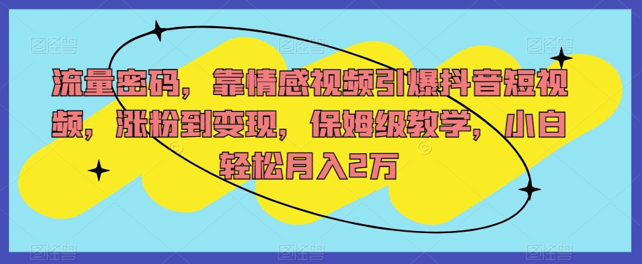 流量密码，靠情感视频引爆抖音短视频，涨粉到变现，保姆级教学，小白轻松月入2万【揭秘】-私藏资源社