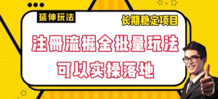 注册流掘金批量玩法，可以实操落地【揭秘】-私藏资源社