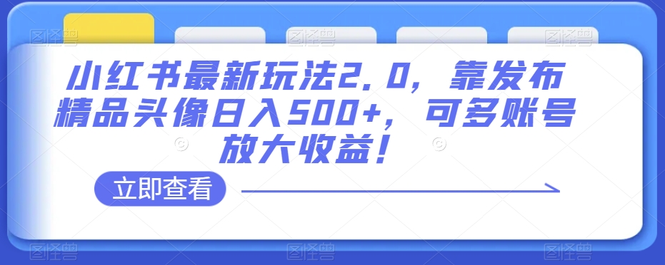 小红书最新玩法2.0，靠发布精品头像日入500+，可多账号放大收益！【揭秘】-私藏资源社