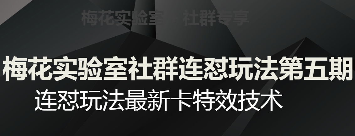 梅花实验室社群连怼玩法第五期，视频号连怼玩法最新卡特效技术-私藏资源社