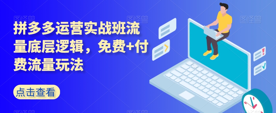 拼多多运营实战班流量底层逻辑，免费+付费流量玩法-私藏资源社