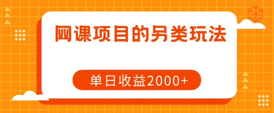 网课项目的另类玩法，单日收益2000+【揭秘】-私藏资源社