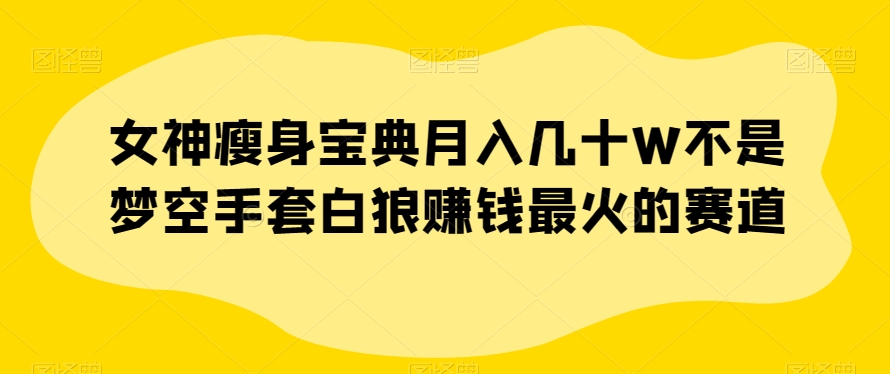 女神瘦身宝典月入几十W不是梦空手套白狼赚钱最火的赛道【揭秘】-私藏资源社