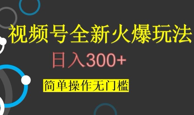 视频号最新爆火玩法，日入300+，简单操作无门槛【揭秘】-私藏资源社