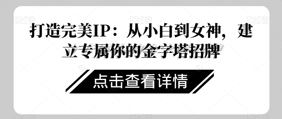 打造完美IP：从小白到女神，建立专属你的金字塔招牌-私藏资源社