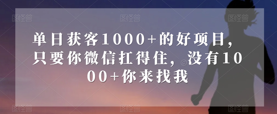 单日获客1000+的好项目，只要你微信扛得住，没有1000+你来找我【揭秘】-私藏资源社