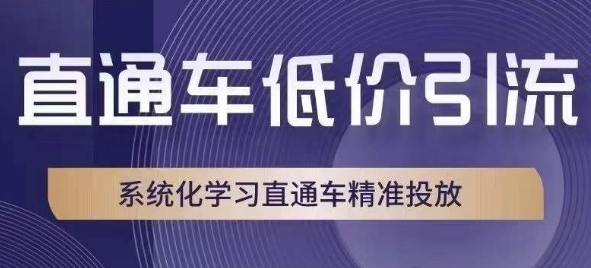 直通车低价引流课，系统化学习直通车精准投放-私藏资源社