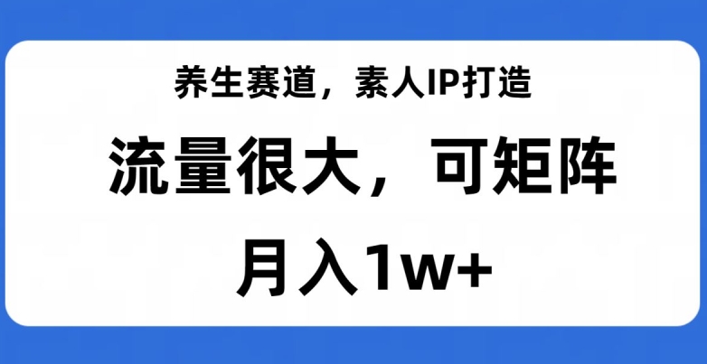 养生赛道，素人IP打造，流量很大，可矩阵，月入1w+【揭秘】-私藏资源社