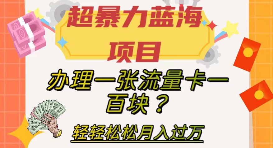 超暴力蓝海项目，办理一张流量卡一百块？轻轻松松月入过万，保姆级教程【揭秘】-私藏资源社