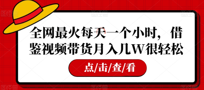 全网最火每天一个小时，借鉴视频带货月入几W很轻松【揭秘】-私藏资源社