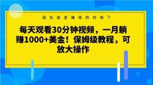 每天观看30分钟视频，一月躺赚1000+美金！保姆级教程，可放大操作【揭秘】-私藏资源社