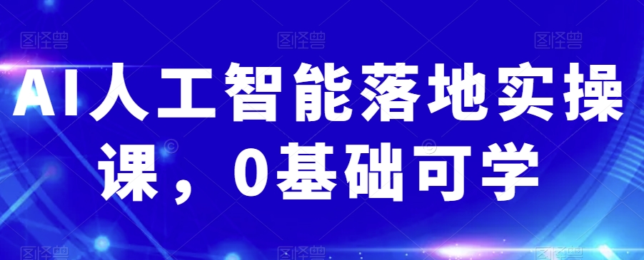 AI人工智能落地实操课，0基础可学-私藏资源社