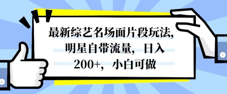 最新综艺名场面片段玩法，明星自带流量，日入200+，小白可做【揭秘】-私藏资源社