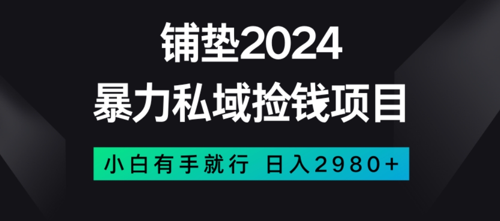 暴力私域捡钱项目，小白无脑操作，日入2980【揭秘】-私藏资源社