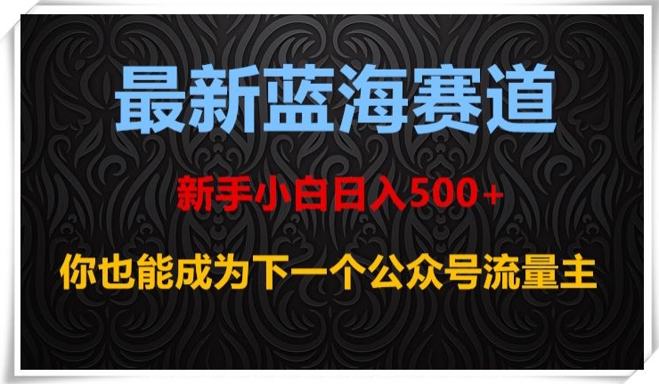 最新蓝海赛道，新手小白日入500+，你也能成为下一个公众号流量主【揭秘】-私藏资源社