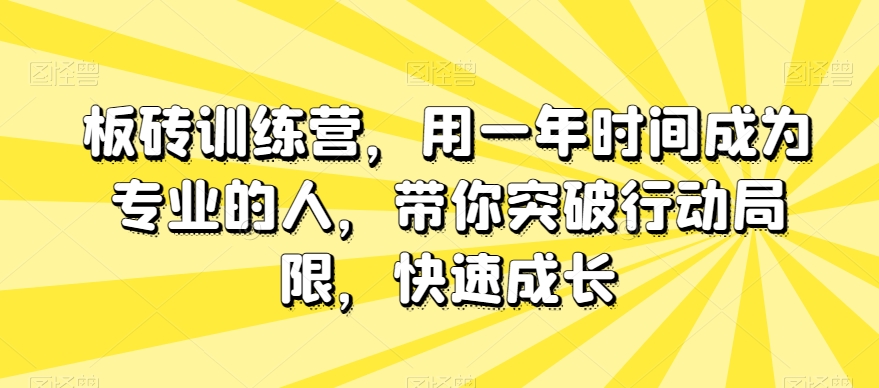 板砖训练营，用一年时间成为专业的人，带你突破行动局限，快速成长-私藏资源社