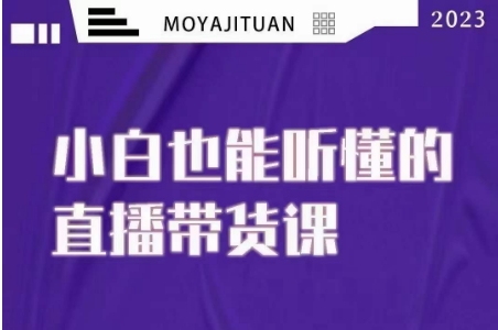 大威本威·能听懂的直播带货课，小白也能听懂，20节完整-私藏资源社