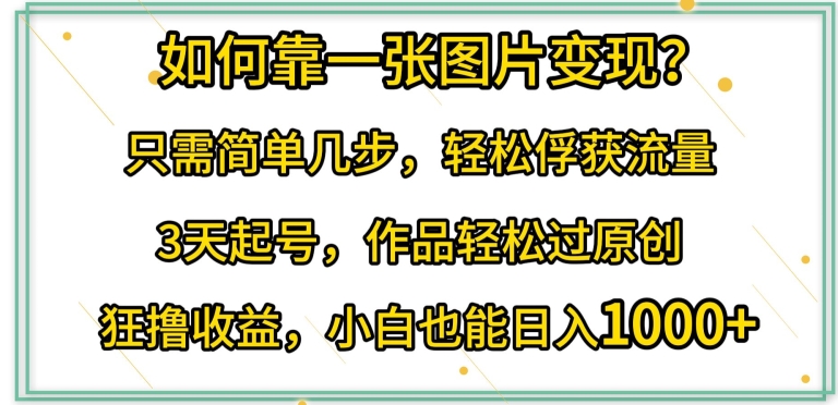 如何靠一张图片变现?只需简单几步，轻松俘获流量，3天起号，作品轻松过原创【揭秘】-私藏资源社