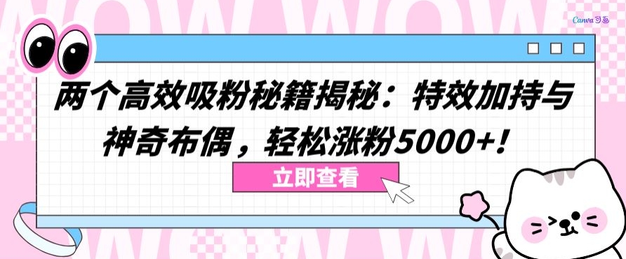 两个高效吸粉秘籍揭秘：特效加持与神奇布偶，轻松涨粉5000+【揭秘】-私藏资源社