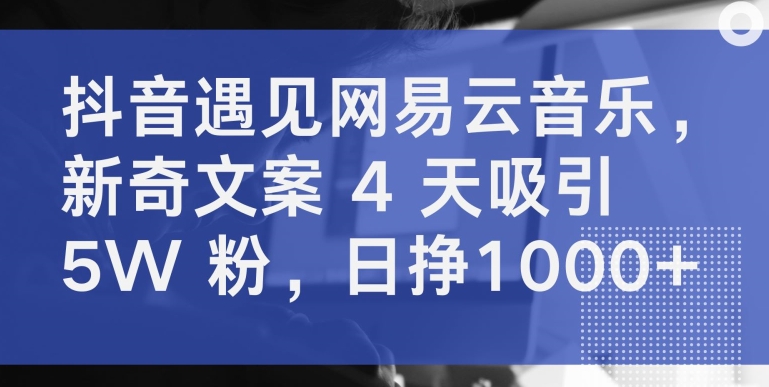 抖音遇见网易云音乐，新奇文案 4 天吸引 5W 粉，日挣1000+【揭秘】-私藏资源社