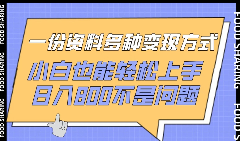 一份资料多种变现方式，小白也能轻松上手，日入800不是问题【揭秘】-私藏资源社