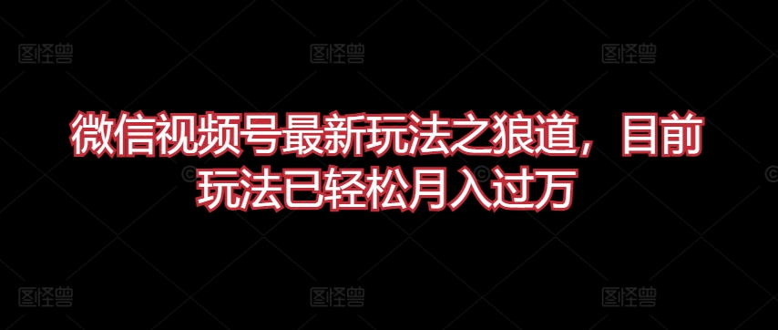 微信视频号最新玩法之狼道，目前玩法已轻松月入过万【揭秘】-私藏资源社