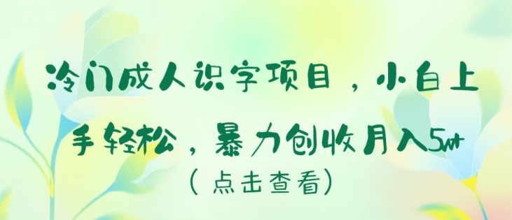 冷门成人识字项目，小白上手轻松，暴力创收月入5w+【揭秘】-私藏资源社