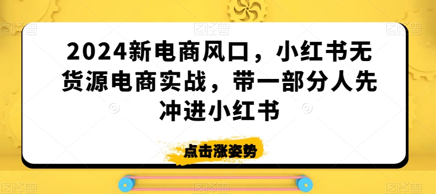 2024新电商风口，小红书无货源电商实战，带一部分人先冲进小红书-私藏资源社