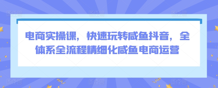 电商实操课，快速玩转咸鱼抖音，全体系全流程精细化咸鱼电商运营-私藏资源社