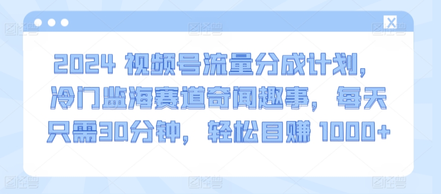 2024视频号流量分成计划，冷门监海赛道奇闻趣事，每天只需30分钟，轻松目赚 1000+【揭秘】-私藏资源社