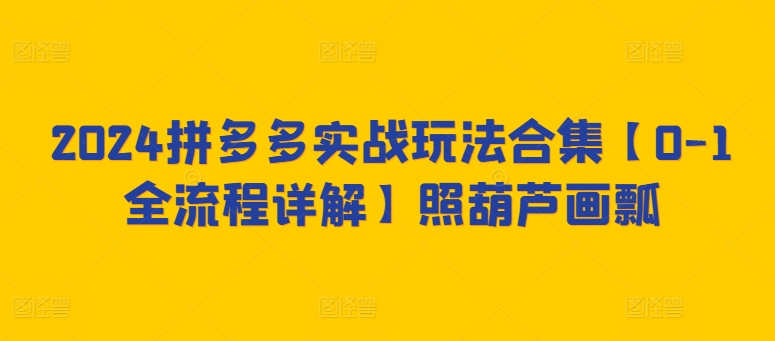 2024拼多多实战玩法合集【0-1全流程详解】照葫芦画瓢-私藏资源社