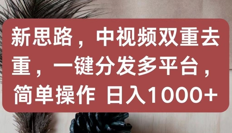 新思路，中视频双重去重，一键分发多平台，简单操作，日入1000+【揭秘】-私藏资源社