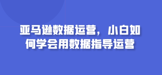 亚马逊数据运营，小白如何学会用数据指导运营-私藏资源社