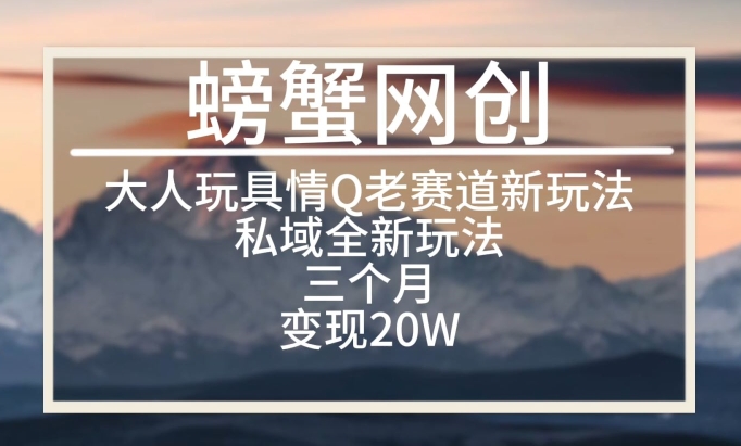 大人玩具情Q用品赛道私域全新玩法，三个月变现20W，老项目新思路【揭秘】-私藏资源社