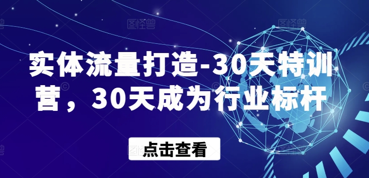 实体流量打造-30天特训营，30天成为行业标杆-私藏资源社